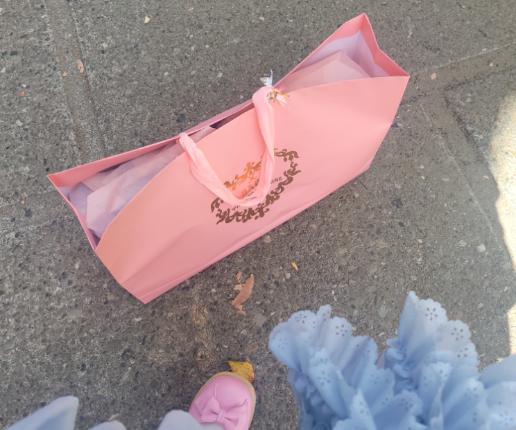 Picture of a Baby the Stars Shine Bright bag